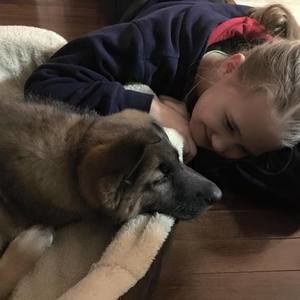 Meet your Posher, Haley